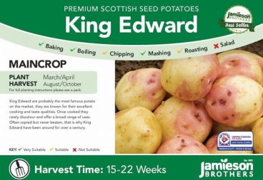 Seed Potatoes – Maincrop – King Edward 2kg