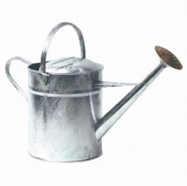 Galvanised Watering Can 2 Gallon