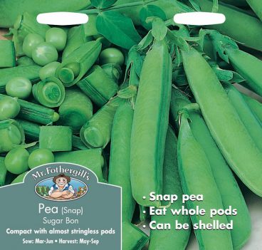 SEEDS – PEA (SNAP) – SUGAR BON