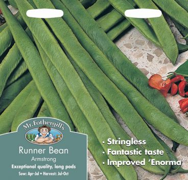 SEEDS – RUNNER BEAN – ARMSTRONG