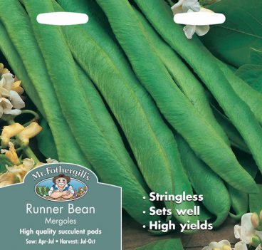 SEEDS – RUNNER BEAN – MERGOLES