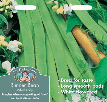 SEEDS – RUNNER BEAN – WHITE LADY