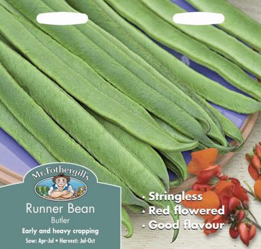 SEEDS – RUNNER BEAN – BUTLER