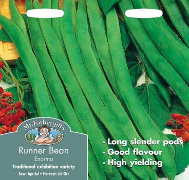 SEEDS – RUNNER BEAN – ENORMA