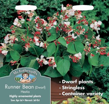 SEEDS – RUNNER BEAN (DWARF) – HESTIA