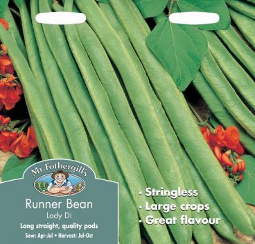 SEEDS – RUNNER BEAN – LADY DI