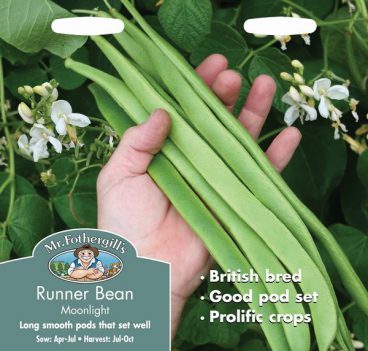 SEEDS – RUNNER BEAN – MOONLIGHT