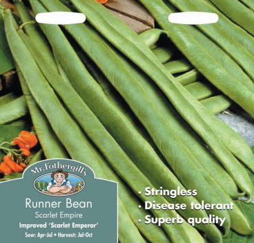 SEEDS – RUNNER BEAN – SCARLET EMPIRE