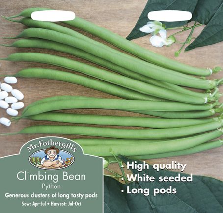 SEEDS - CLIMBING BEAN - PYTHON