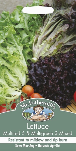 SEEDS – LETTUCE – MULTIRED 5 / MULTIGREEN 3 MIX