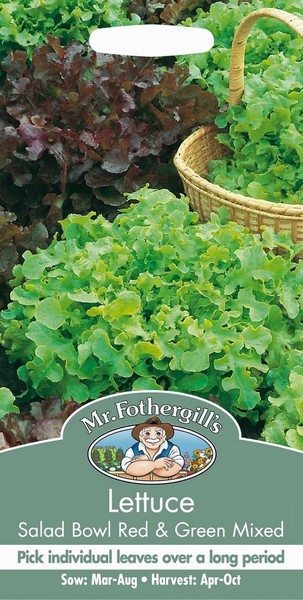 SEEDS – LETTUCE – SALAD BOWL RED / GREEN MIX