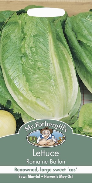 SEEDS – LETTUCE – ROMAINE BALLON