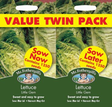 SEEDS – LETTUCE – LITTLE GEM VALUE PACK