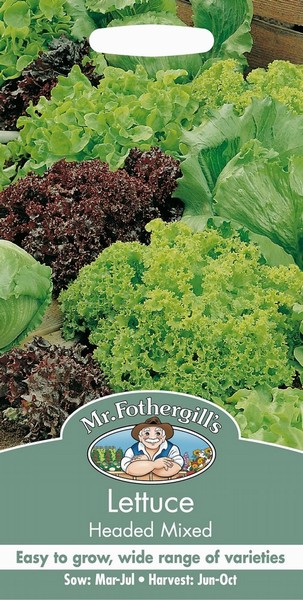 SEEDS – LETTUCE – HEADED MIX