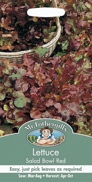 SEEDS – LETTUCE – SALAD BOWL RED