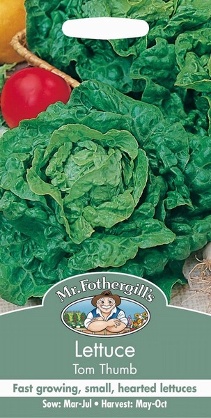 SEEDS – LETTUCE – TOM THUMB