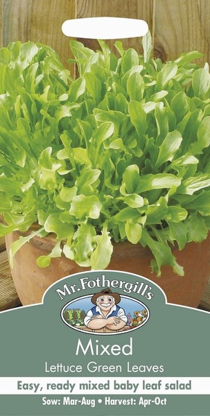 SEEDS – LETTUCE – GREEN LEAVES MIX