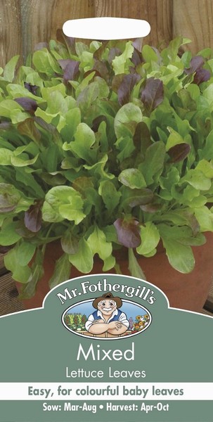SEEDS – LETTUCE – MIXED LEAVES