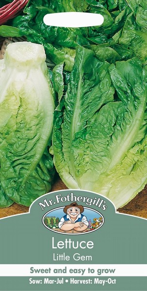 SEEDS – LETTUCE – LITTLE GEM