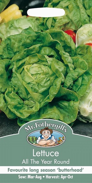 SEEDS – LETTUCE – ALL YEAR ROUND