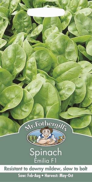 SEEDS – SPINACH – EMILIA F1