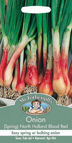 SEEDS – SPRING ONION – NOTH HOLLAND BLOOD RED