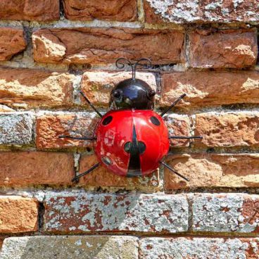 DECOR LADYBIRD LARGE (2021)