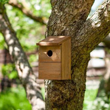 Chapelwood – Classic Bird Box