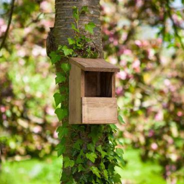 Chapelwood – Robin Bird Box