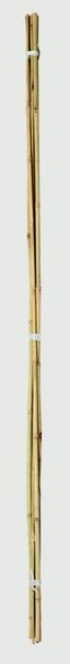 Bamboo Cane 8FT Single