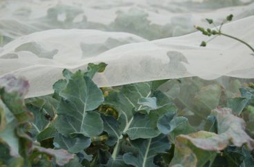 Agralan – Enviromesh Ultrafine 1.8Mx4.5M