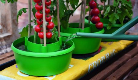PLANT HALOS GREEN GARLAND