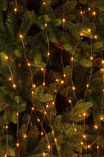 BRANCH LIGHTS AMBER 200 LED STATIC 2M