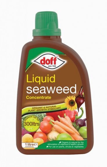 DOFF SEAWEED PLANT FOOD 1L