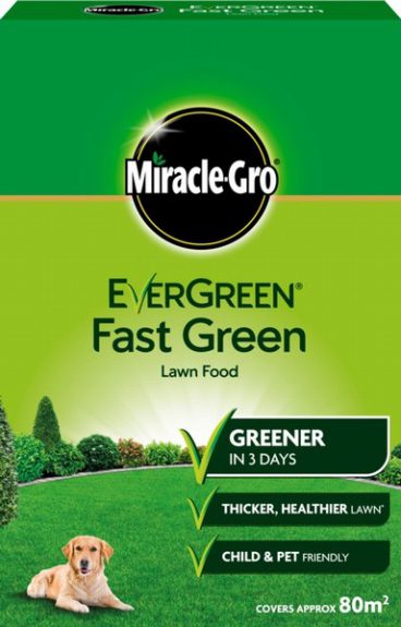 EVERGREEN FAST GREEN BOX 80M2