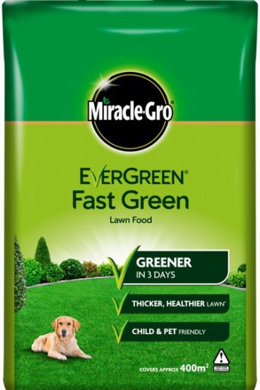 EVERGREEN FAST GREEN 400M