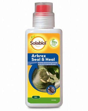 ARBREX SEAL & HEAL 300GM