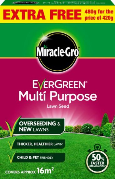 GRASS SEED MUTLI PURPOSE EVERGREEN 480GRM