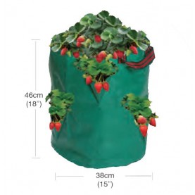 GARLAND STRAWBERRY BAG (2022)