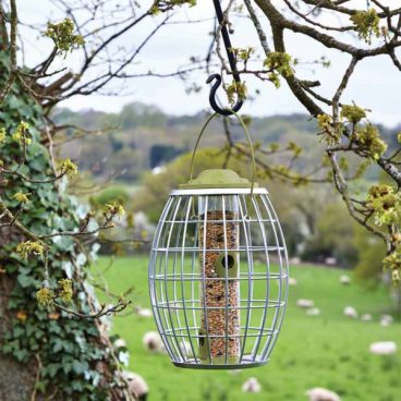 Chapelwood – Squirrel Proof Seed Feeder