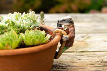 POT BUDDY BADGER