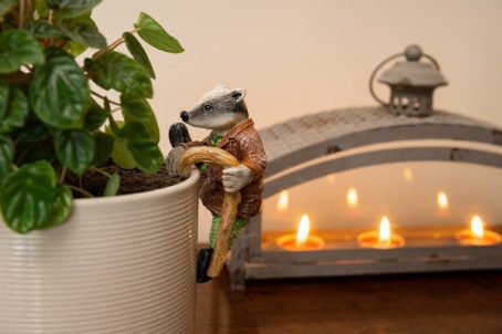 POT BUDDY BADGER - Image 3