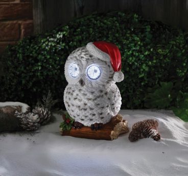 Blinkin’ Snowy