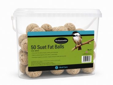BIRD FEED FAT BALLS PK50*