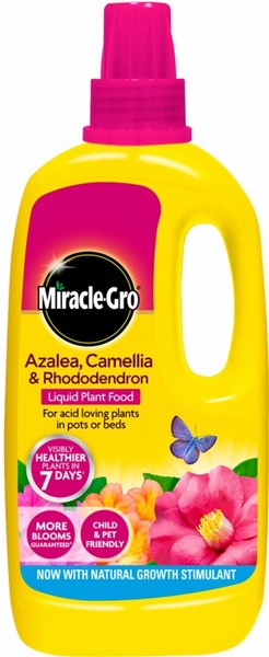 Miracle-Gro Azalea, Camellia & Rhododendron Liquid Plant Food 1L