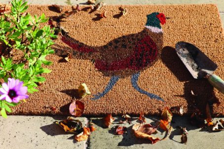 My Mat Coir -  Pheasant - 45x75cm - Image 2
