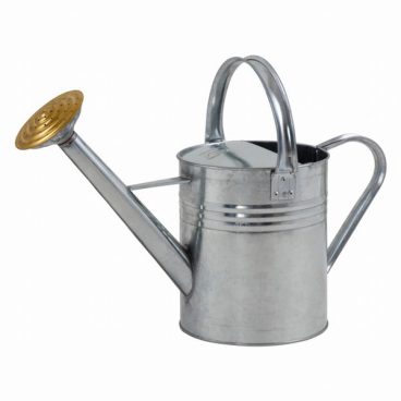 Galvanised Watering Can 1 Gallon