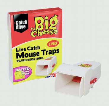 Big Cheese – Live Catch Mouse Trap PK2