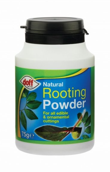 DOFF HORMONE ROOTING POWDER 75GM