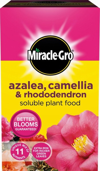 Miracle-Gro Azalea, Camellia & Rhododendron Soluble Plant Food 5